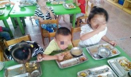 幼儿园吃饭爆料视频播放,温馨画面引网友热议